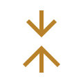 growth icon