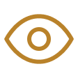 steward vision icon