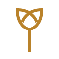 stewardship icon